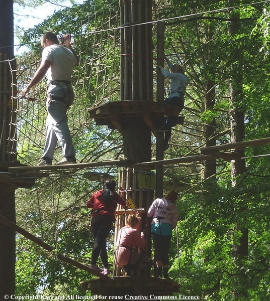Go Ape With a head for heights